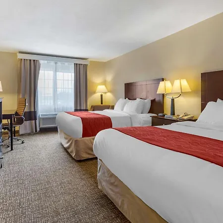 Comfort Inn & Suites North Tucson Marana-3