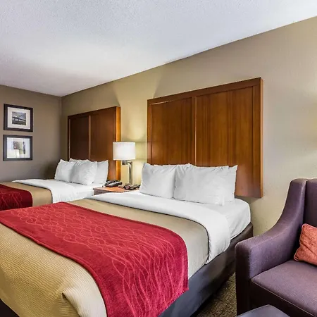 Comfort Inn & Suites Airport-American Way-3