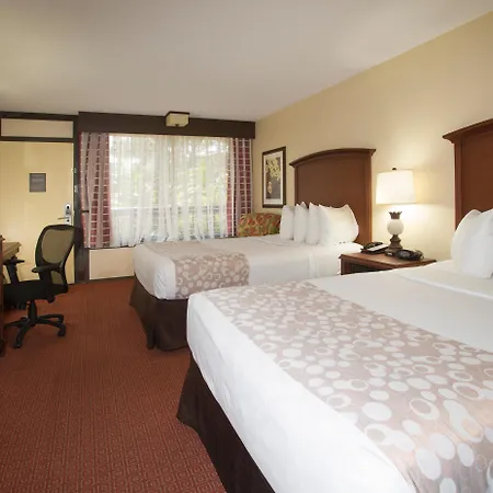 Rosen Inn Lake Buena Vista-2