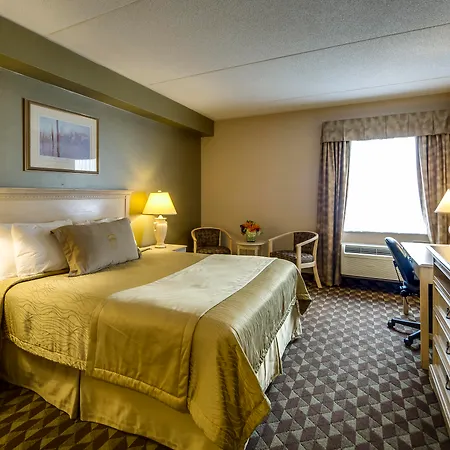 Monte Carlo Inn Markham-2
