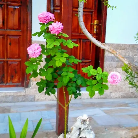 Koray Hotel-3