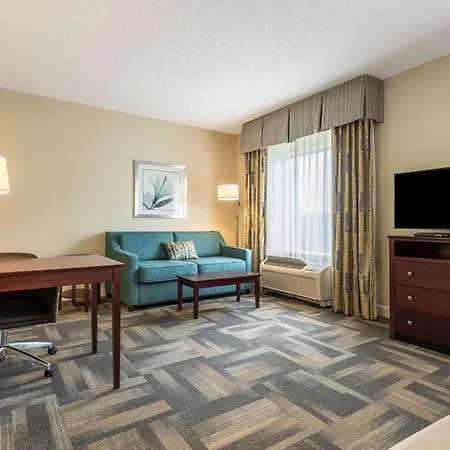 Hampton Inn & Suites Orlando-South Lake Buena Vista-2