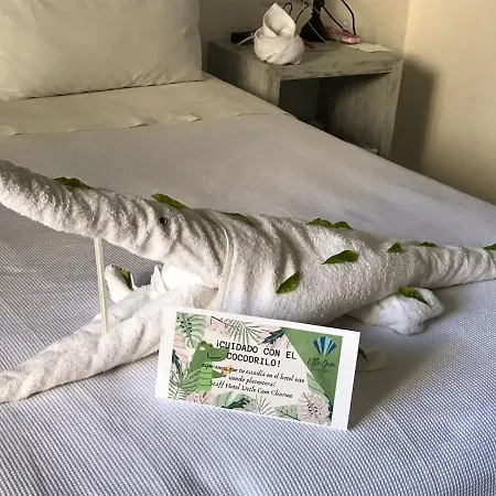 Little Gem Hotel Tulum La Veleta-2
