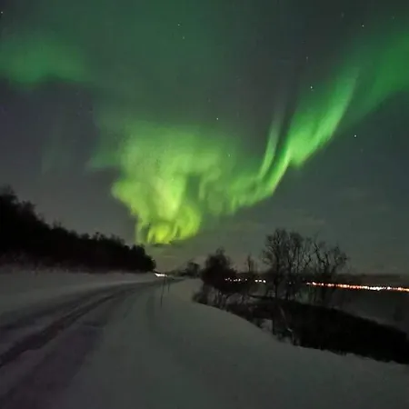 Aurora rooms in shared apartment nr2 We are doing privet Northen lights trips, reindeer trip&Fjord sommaroy trip-2