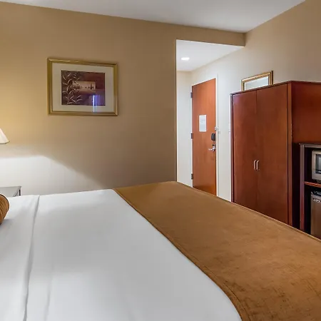 Best Western Plus Arena Hotel-3
