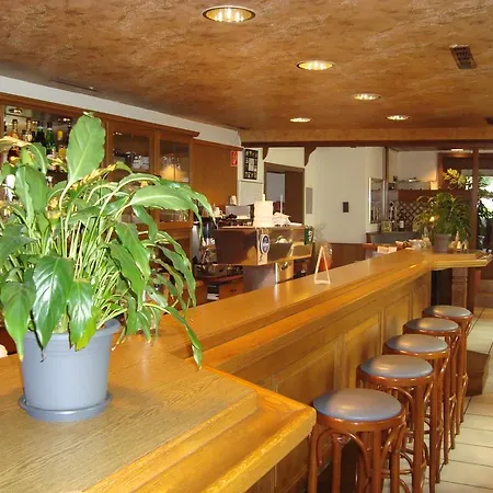 Hotel-Restaurant Handelshof-3
