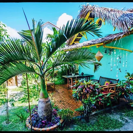 The Happy Bird B&B-3