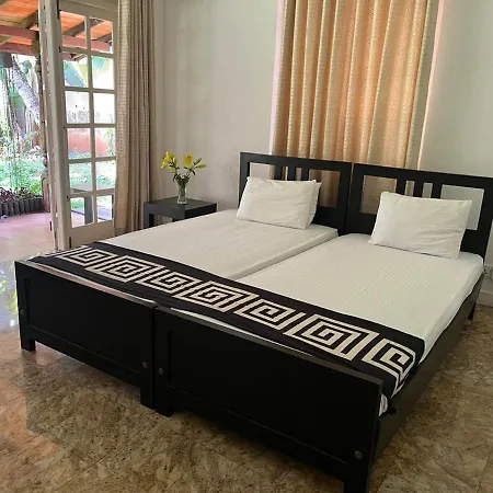 Olu Colombo Villa-2