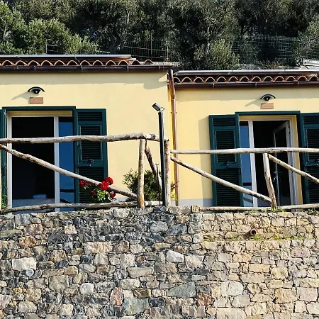 Eufonia del Mare-3