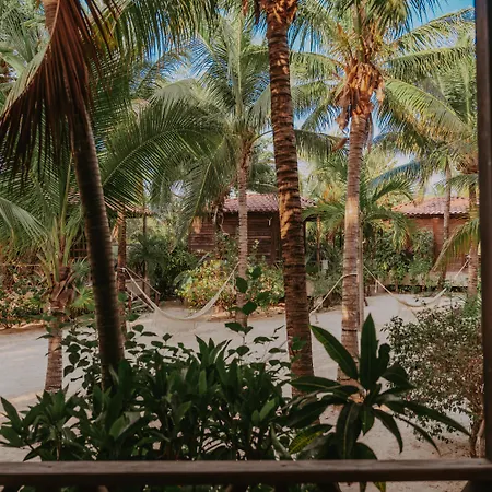 Petit Lafitte Beach Front Hotel & Bungalows-3
