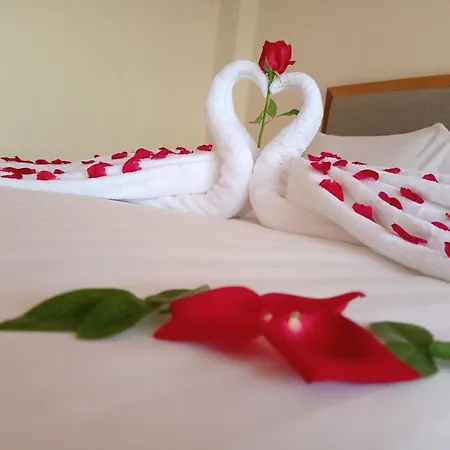Dragon Phoenix Hotel-3