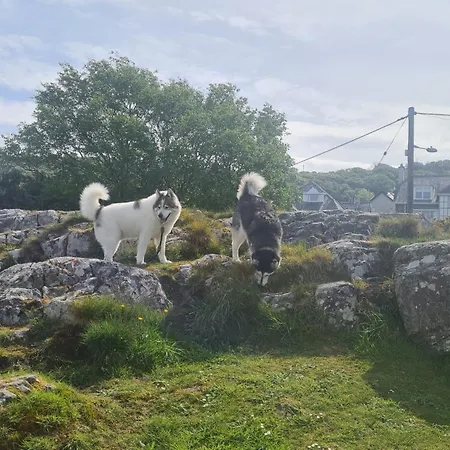 Y Branwen Restaurant & Rooms - Adult Only And Dog Friendly-3