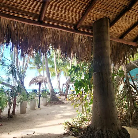 Hotel La Palapa-3