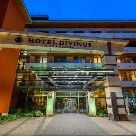 Hotel Divinus-2