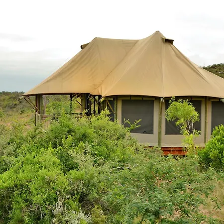 Garden Route Safari Camp-2