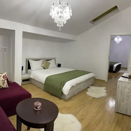 Vila Zoe 1 Bucharestairport&Therme&Park Otopeni-3