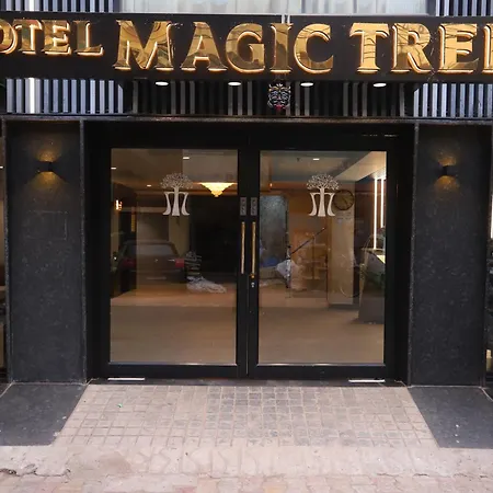 Hotel The Magic Tree - Paharganj New Delhi-2