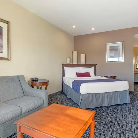Best Western Plus Bayside Hotel-3