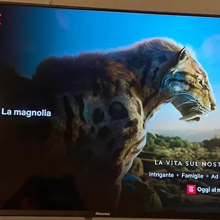 La Magnolia 140-2