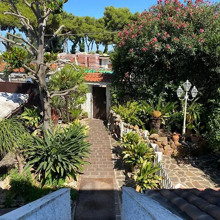 La Magnolia 140-3