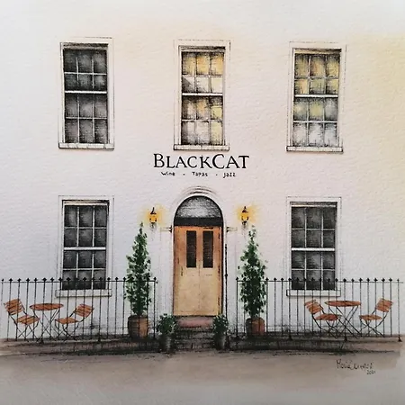 Black Cat-3