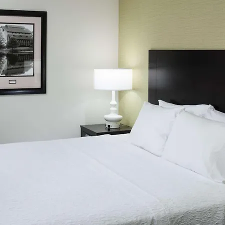 Hampton Inn & Suites Gainesville Downtown-3