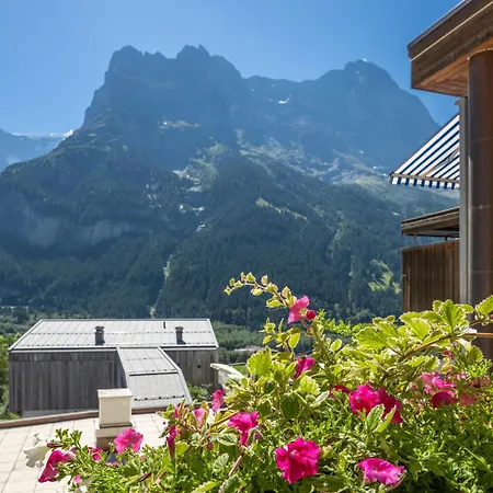 Hotel Spinne Grindelwald-3