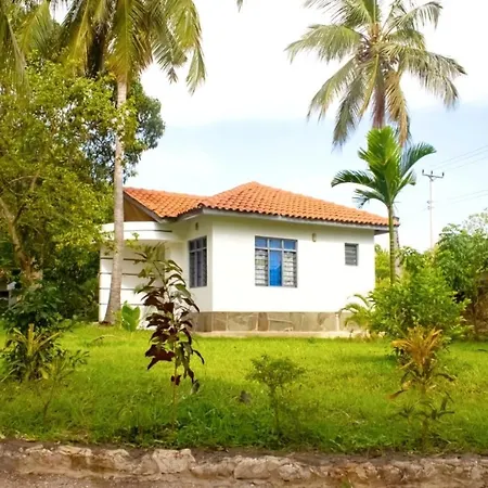 Cycad Palm Diani-2