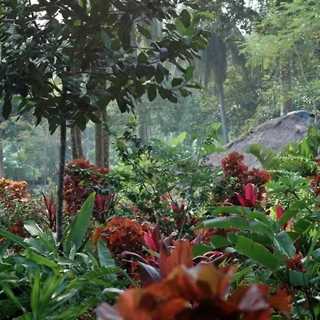 Oasis Koh Chang-2