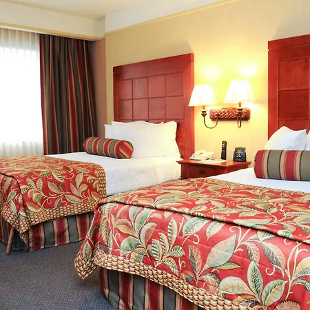 Embassy Suites San Antonio Airport-3