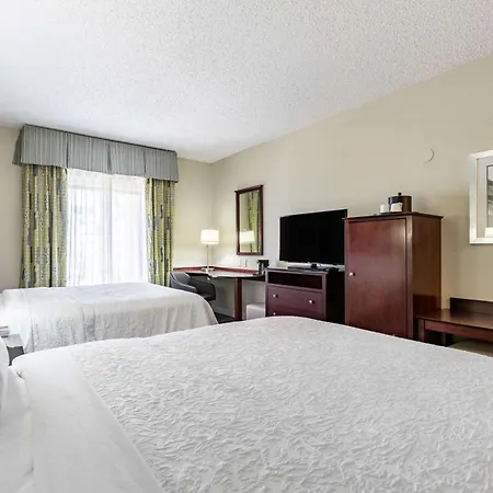 Hampton Inn & Suites Orlando-South Lake Buena Vista-3