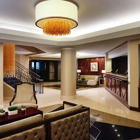 Hilton Arlington-2