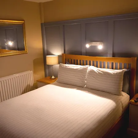 Salamander Guest House-3