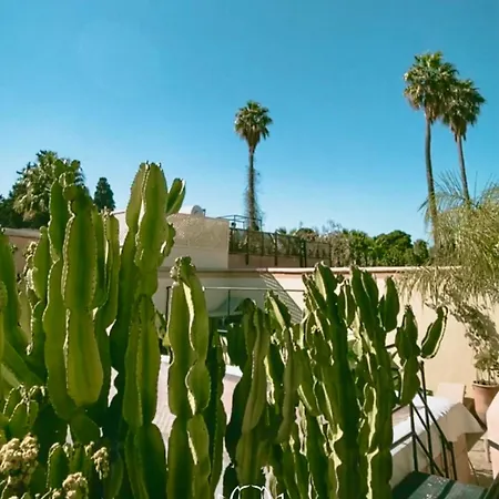 Riad Zouhour-2