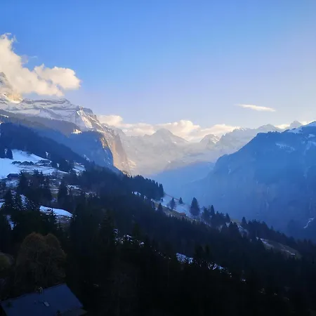 Swiss Lodge Hotel Bernerhof-2