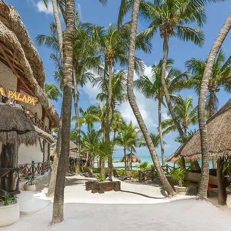 Beachfront Hotel La Palapa - Adults Only-3