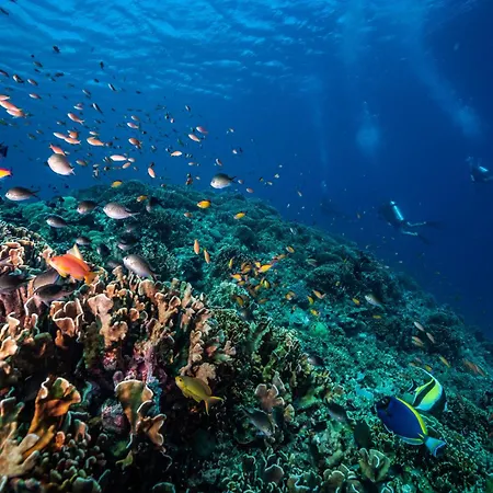 Trawangan Dive Centre-3