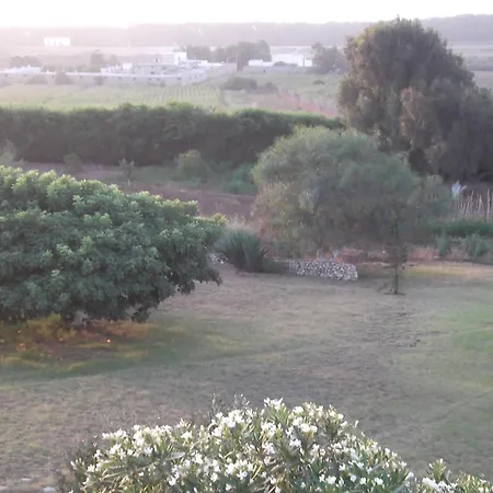 Dar Al Manar-2