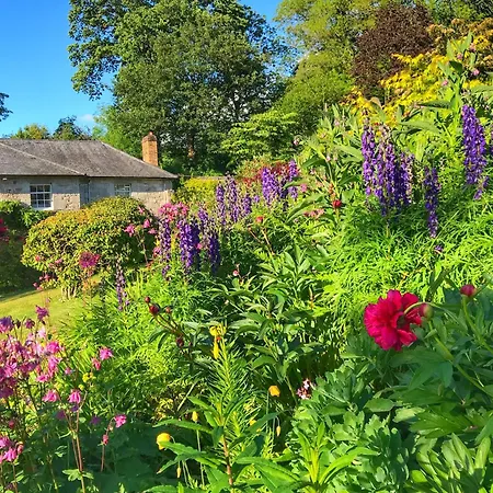 Pen-Y-Dyffryn Country Hotel-3
