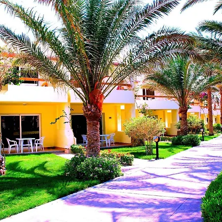 Palm Beach Resort Families And Couples Only-3