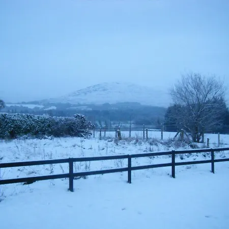 Ashfield B&B-2