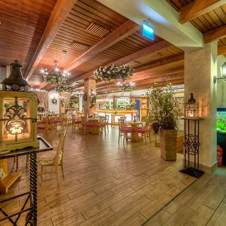Lesne Patio-2