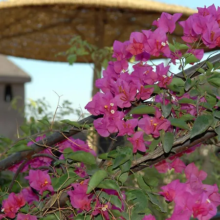 Riad Mehdia & Spa-2
