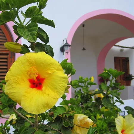 Villa Rosa-3