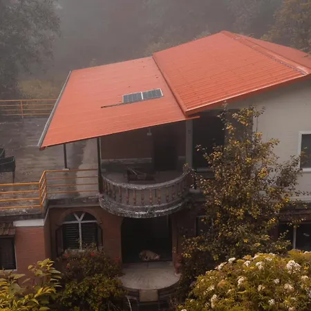 Mount Paradise Nature Stay-3