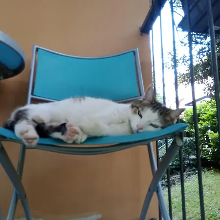 A Casa Di Gemma-3