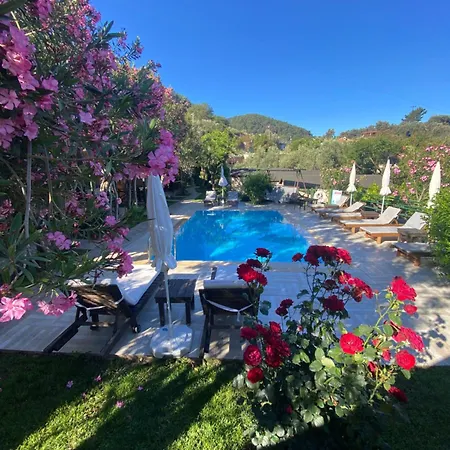 Montenegro Motel-2