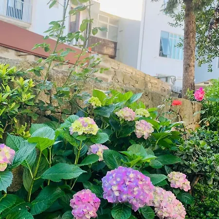Invicta Porto Guest House-3
