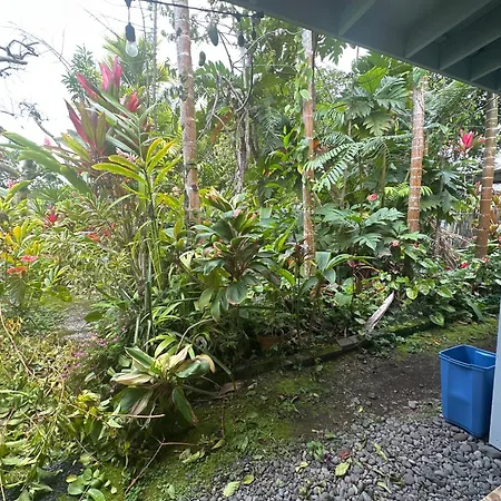 Hawaiian Ohana Home-2