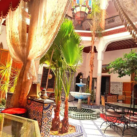 Riad Chennaoui-3
